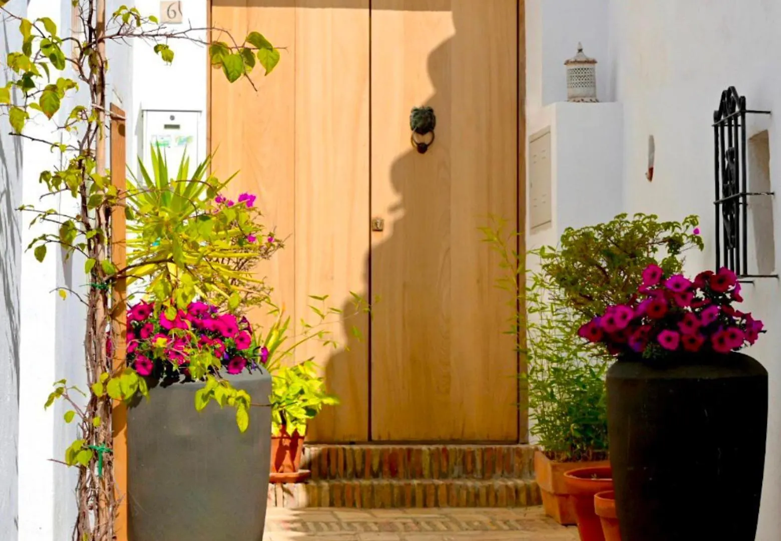 Apartamento Casa Amaro Vejer de la Frontera