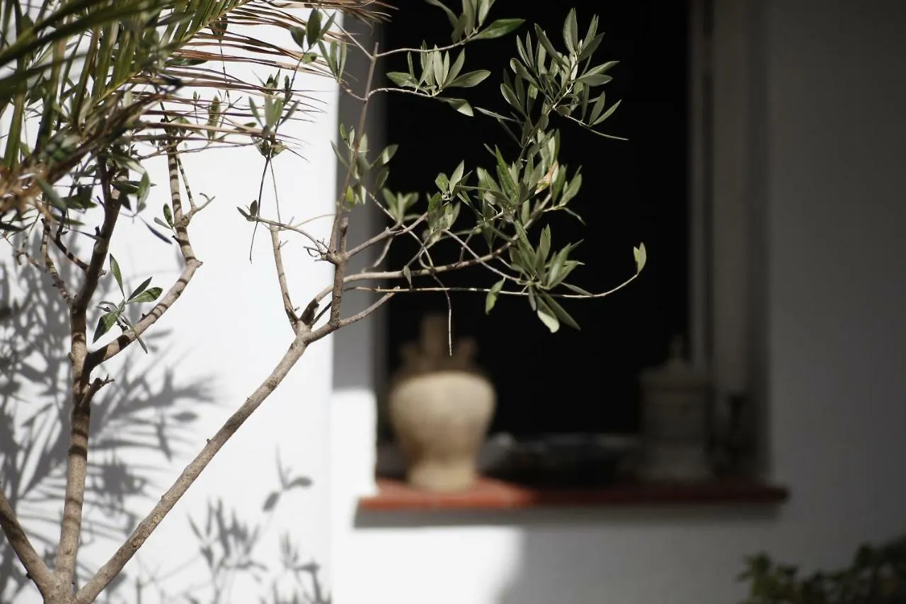 Casa Amaro Apartment Vejer de la Frontera