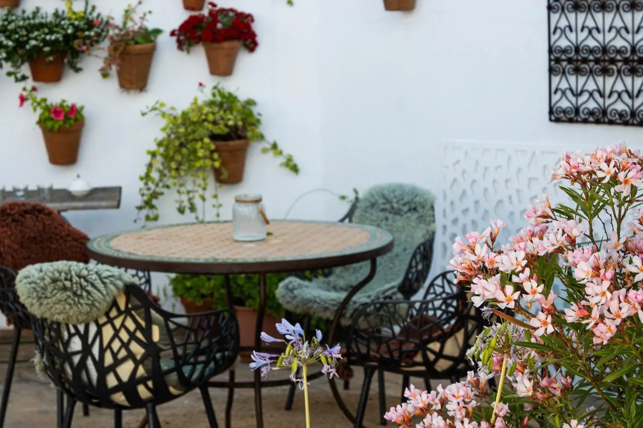 Casa Amaro Apartment Vejer de la Frontera