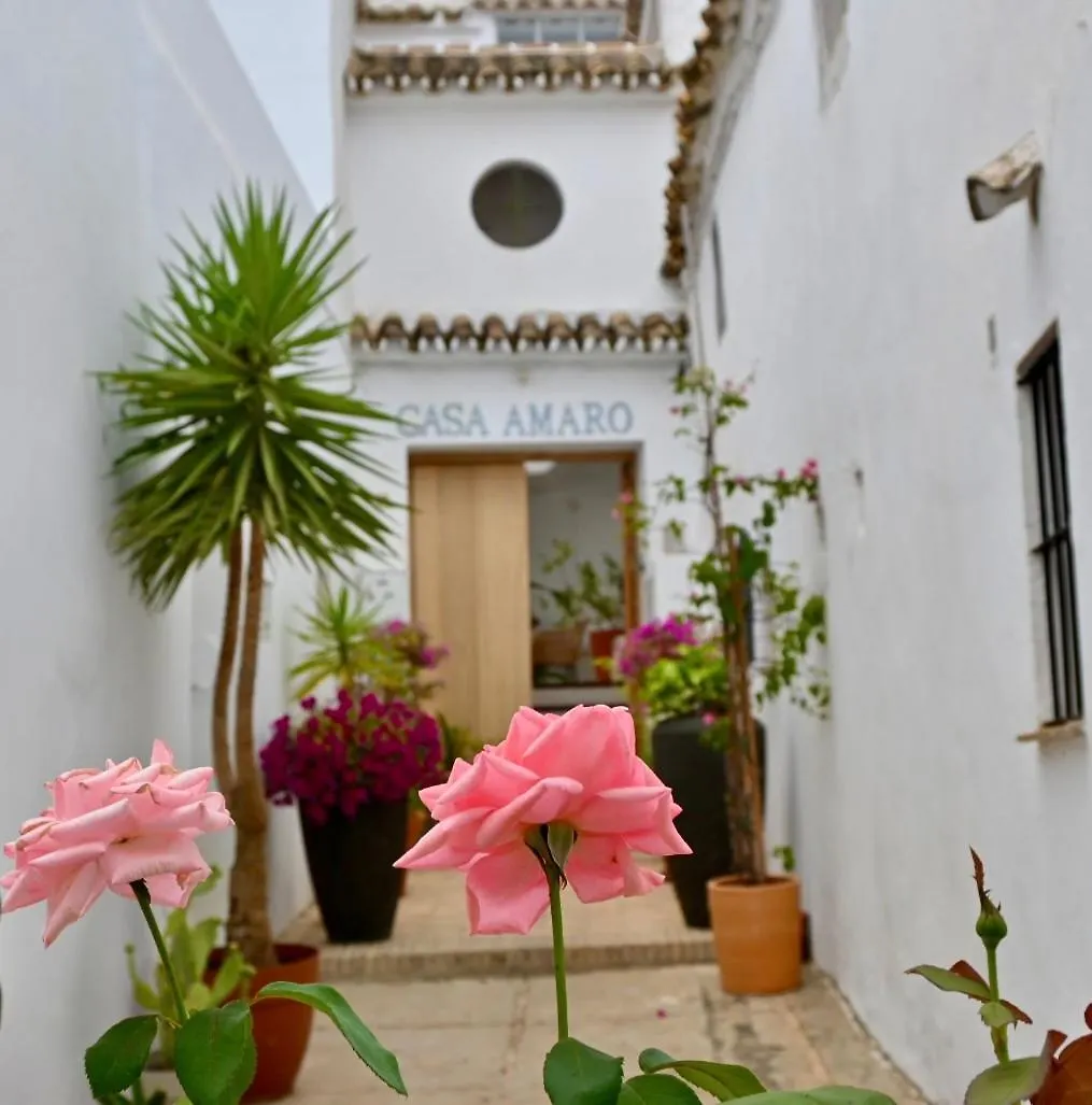 Casa Amaro Apartment Vejer de la Frontera